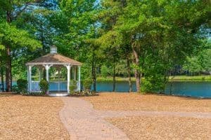 Why You Should Install a Pergola in Your Backyard