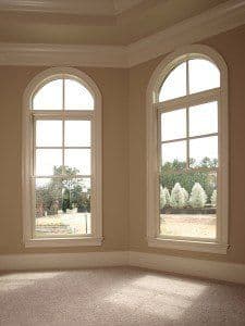 Vinyl Windows