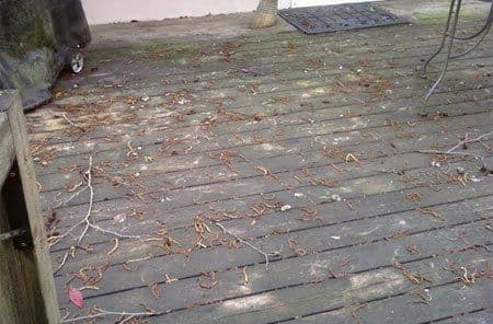 deck