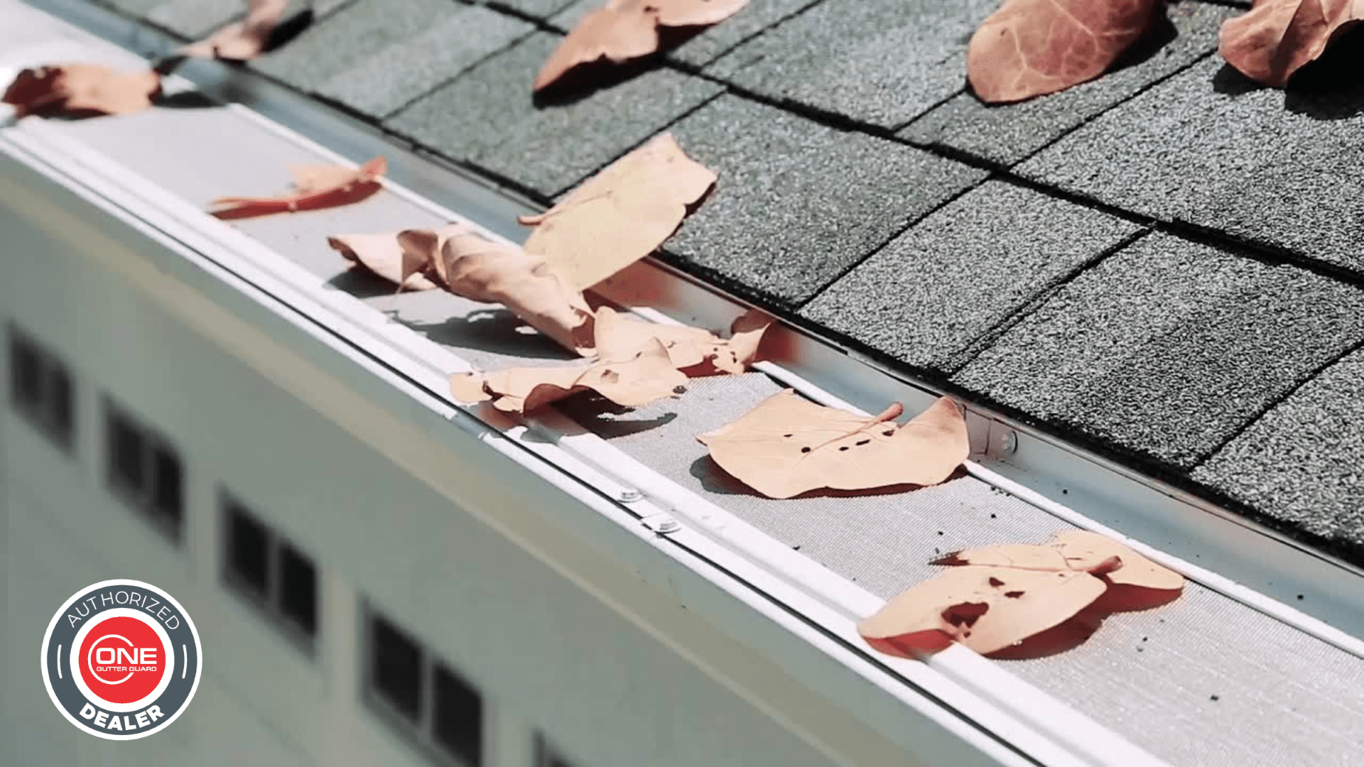 Leaves sit on top of a ONE Gutter Guard™ installed by Durante Home Exteriors.