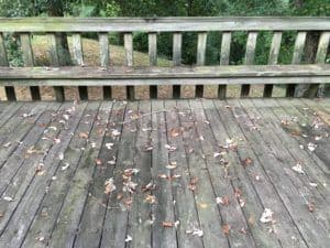 Old-Deck-0