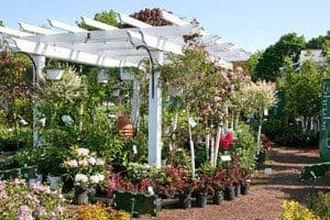 pergola-huntsville